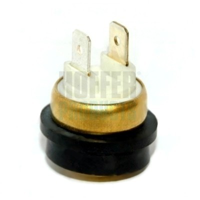 Hoffer temperature switch - temperature,