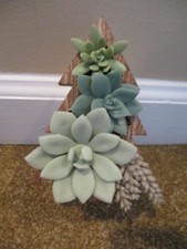 BBW Bath & Body Works