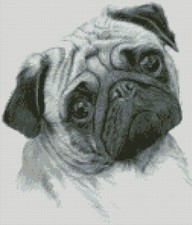 Counted Cross Stitch Chart