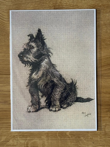 Cecil aldin westie - cecil, dog