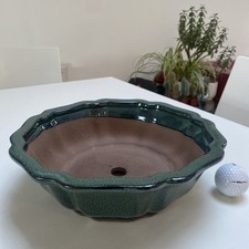 New large Bonsai Pot lotus