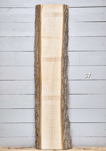 Maple live edge 1260mm - edge, x