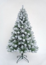 Christmas tree xmas - christmas,