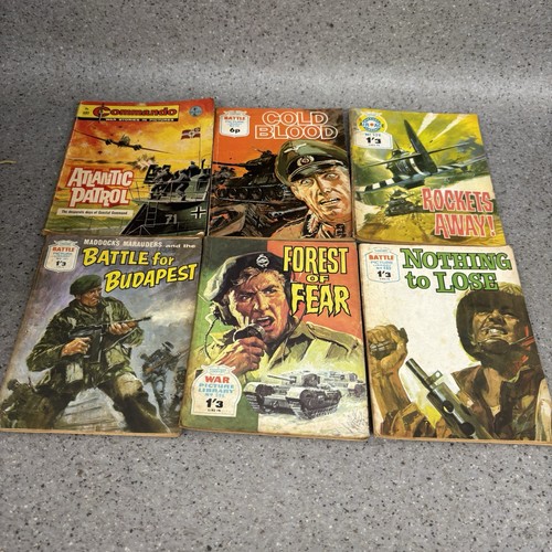 Fleetwood library war comics - fleetwood,