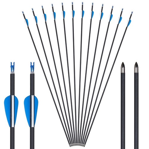 Archery carbon arrows - 31",