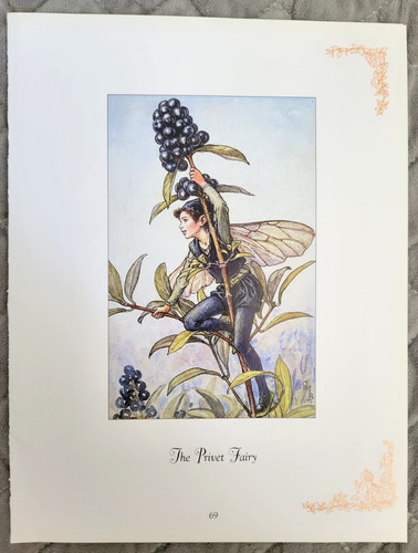 Cicely mary barker - barker, privet