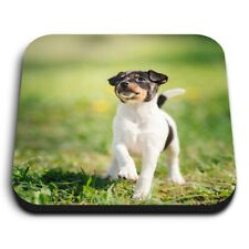 Square MDF Magnets - Cute Fox