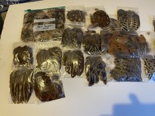 100s Pheasant Feathers 100s