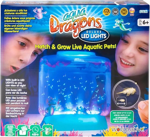 Aqua dragons underwater world - dragons,