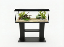 Fish tank complete - fish, kit