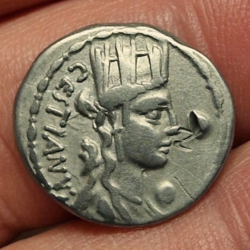 Ancient plaetorius m - ancient, m.f