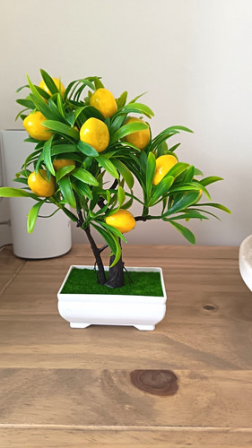 Artificial lemon bonsai - bonsai, tree