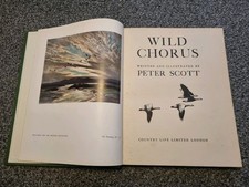 Wild Chorus.Written &
