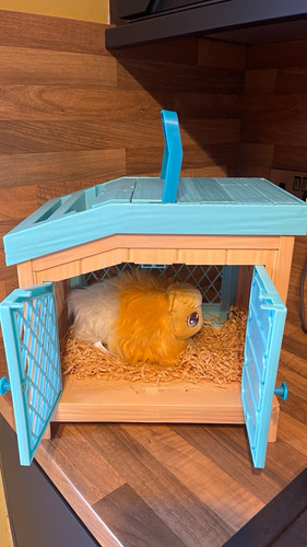 Little live pets - little,