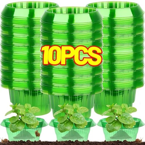 10pcs vegetable slug collars - vegetable,
