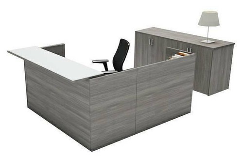 New shape reception office - reception,