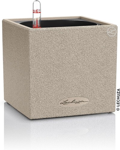 Lechuza self watering plant - lechuza,