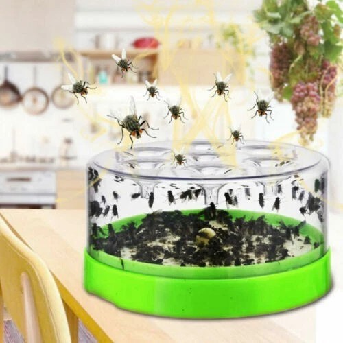 Automatic fly catcher killer - fly,