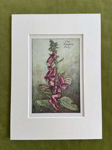 Foxglove flower fairy - flower,