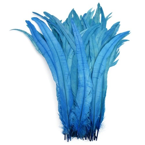 Long rooster tail feathers - rooster,
