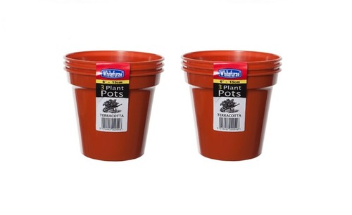 Large plastic seed - 6,