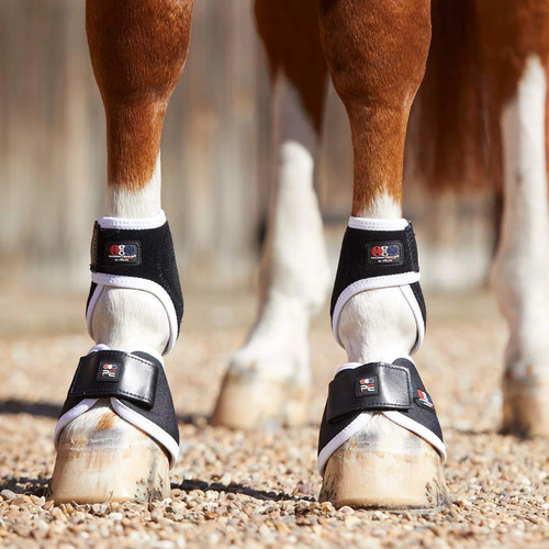Premier equine magni teque - premier, magni-teque
