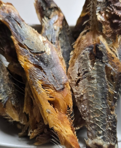 Bonga fish fillet - (shawa),