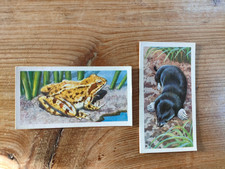 2 x BRITISH WILDLIFE Tea Cards Brooke Bond & Co Ltd 1958: The Mole & Common Frog