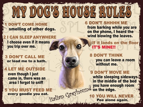 Dog house rules italian - house,