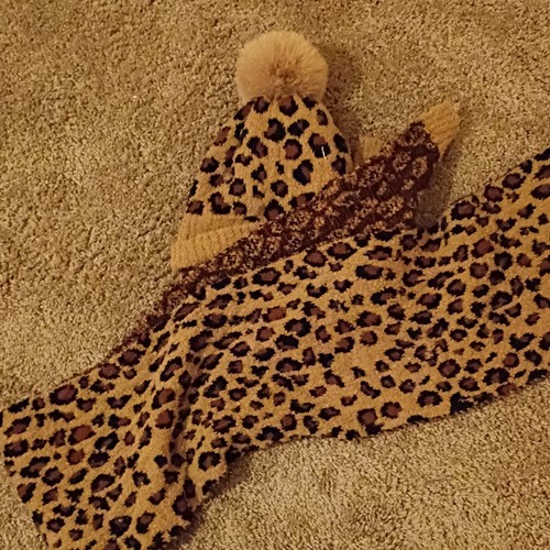 Leopard animal print - leopard,