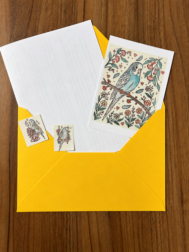 Budgie bird mail - budgie,