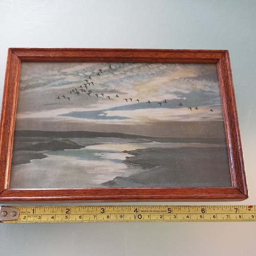 Vintage sir peter - vintage,