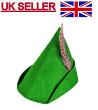 Green Storybook Robin Hood Peter Pan Hat Adults Book Day Men Ladies Fancy Dress