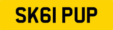 SKIP UP ! 61 REG NUMBER PLATE