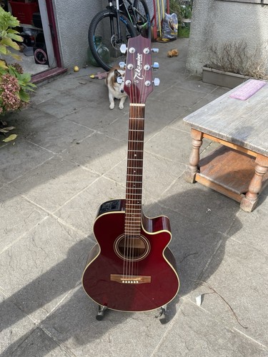 Takamine series - g,