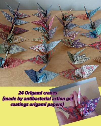 Origami cranes made - 24, with
