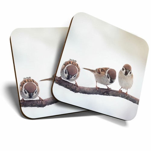 Coasters little birds - 2, x