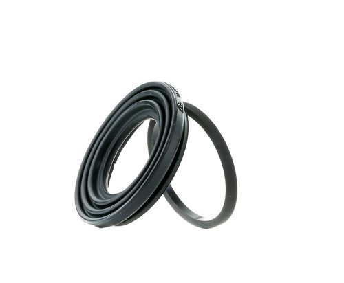 Rear brake caliper seal - rear, set