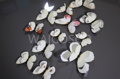 12pcs butterfly decoration - 12pcs,
