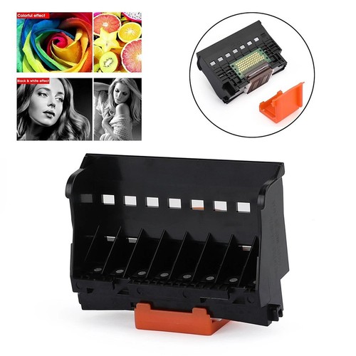 Qy6 0076 print - qy6-0076, head