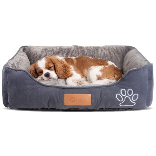 Crufts corduroy and micro - corduroy,