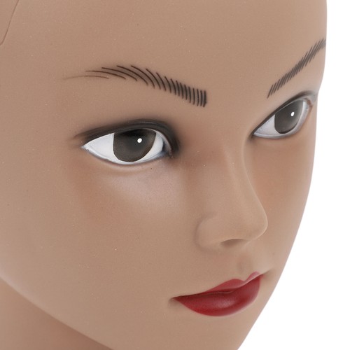 Abald mannequin head with - mannequin,