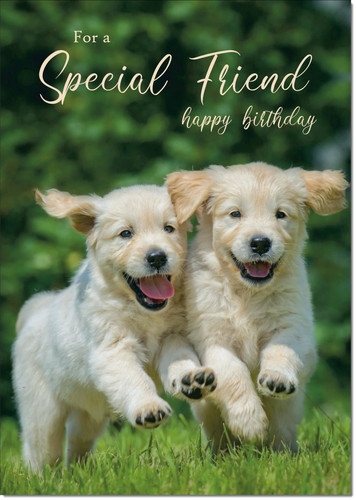 Doodlecards special friend - special,