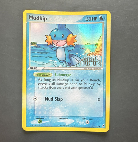 Pokémon tcg mudkip - pokémon, ex
