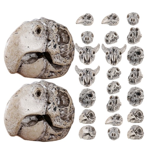 Pack antique skull ornaments - 3,