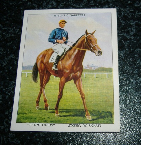 Wills racehorses - wills,