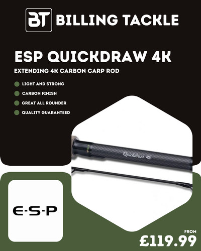 Esp quickdraw carp - esp, 4k