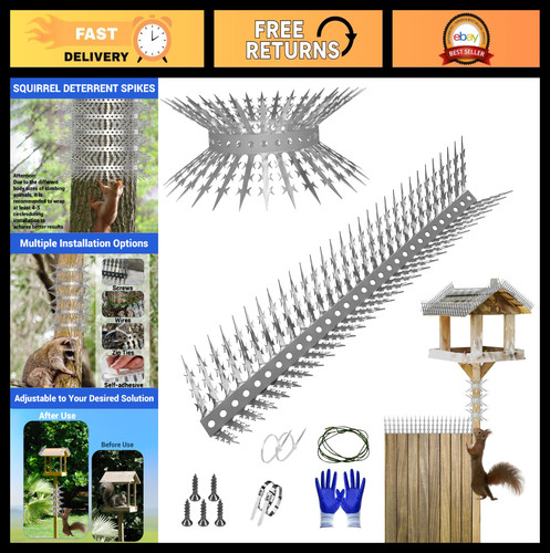 Squirrel proof bird - squirrel,