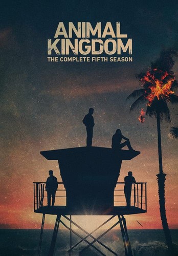 Animal kingdom complete - kingdom,