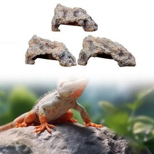 Reptile Hiding Cave Simulation